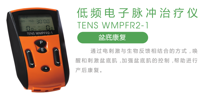 低频电子脉冲治疗仪-TENS-WMPFR2-1参数.jpg
